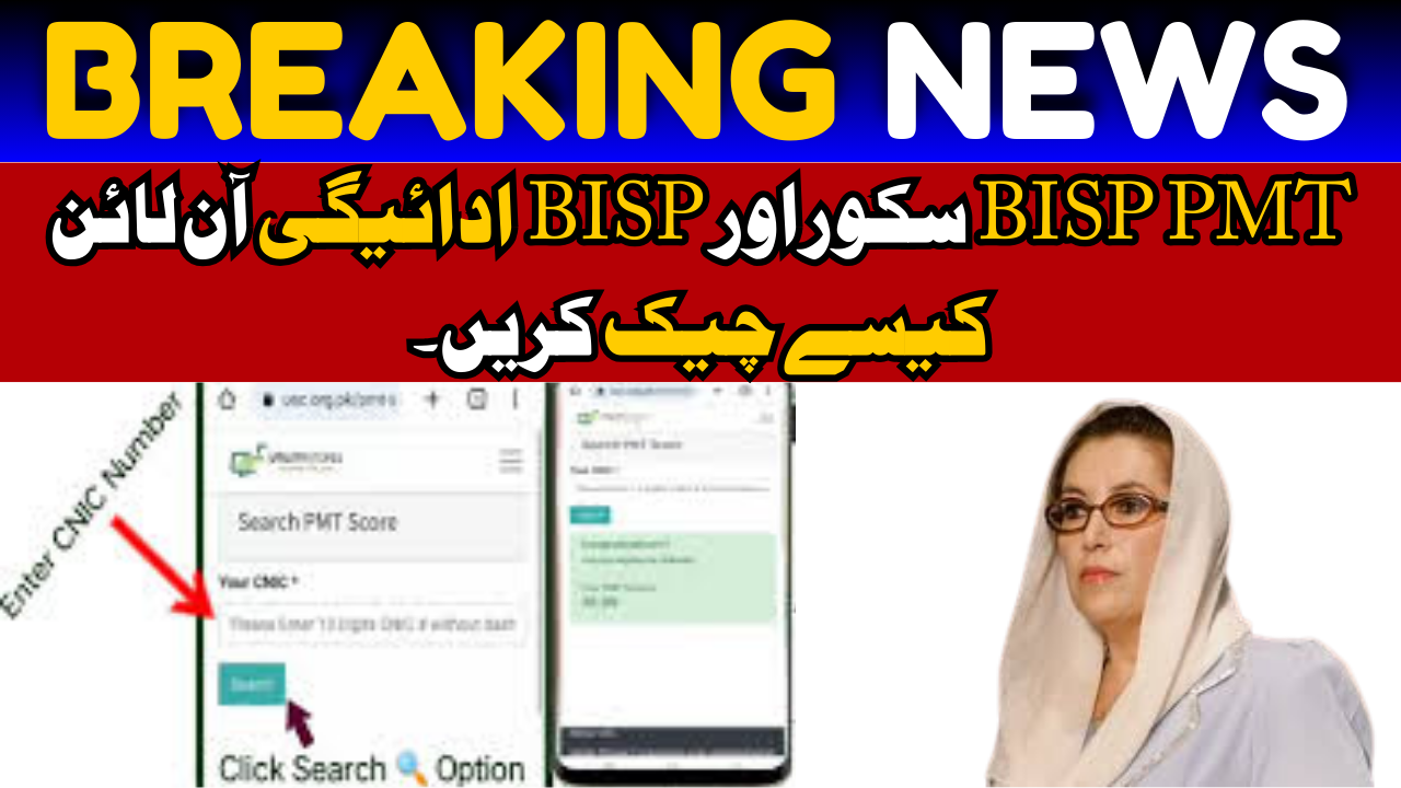 BISP PMT Score 