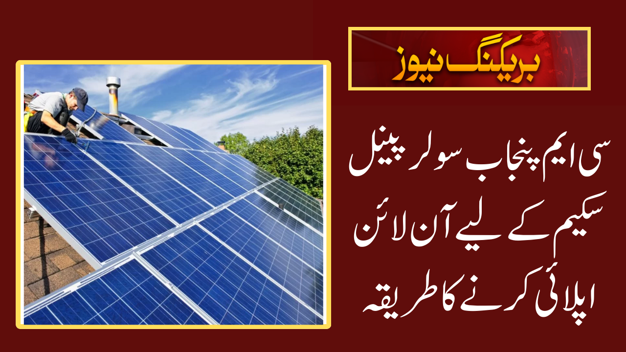 CM Punjab Solar Panel Scheme