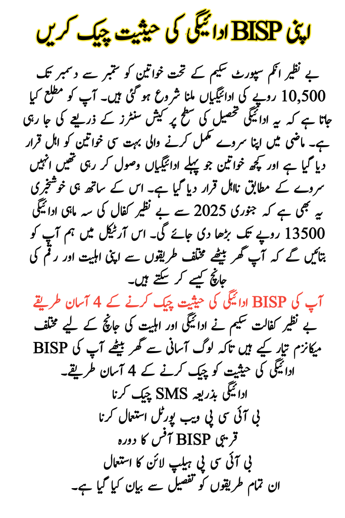 Check Your BISP Payment Status