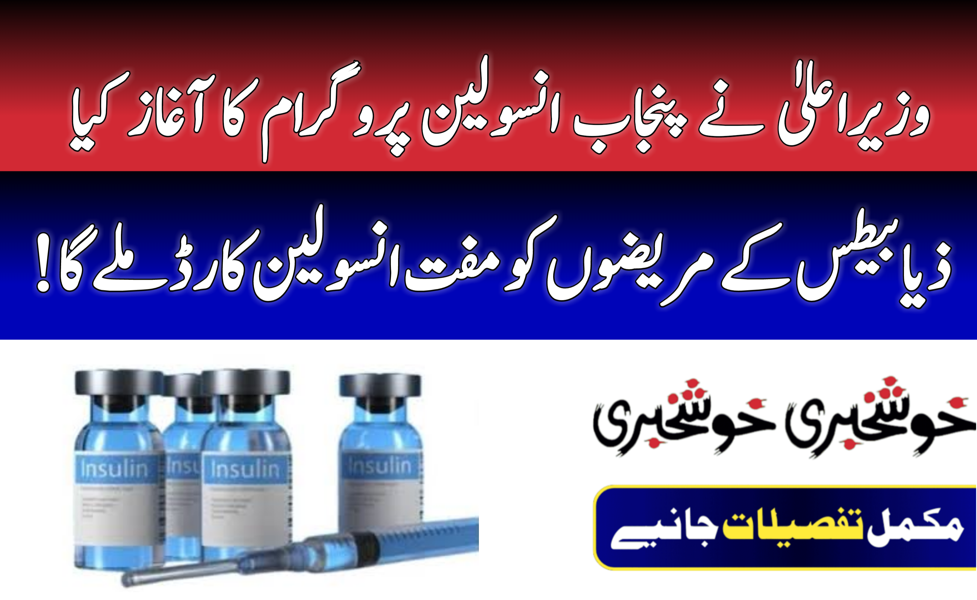 CM Launches Punjab Insulin Program