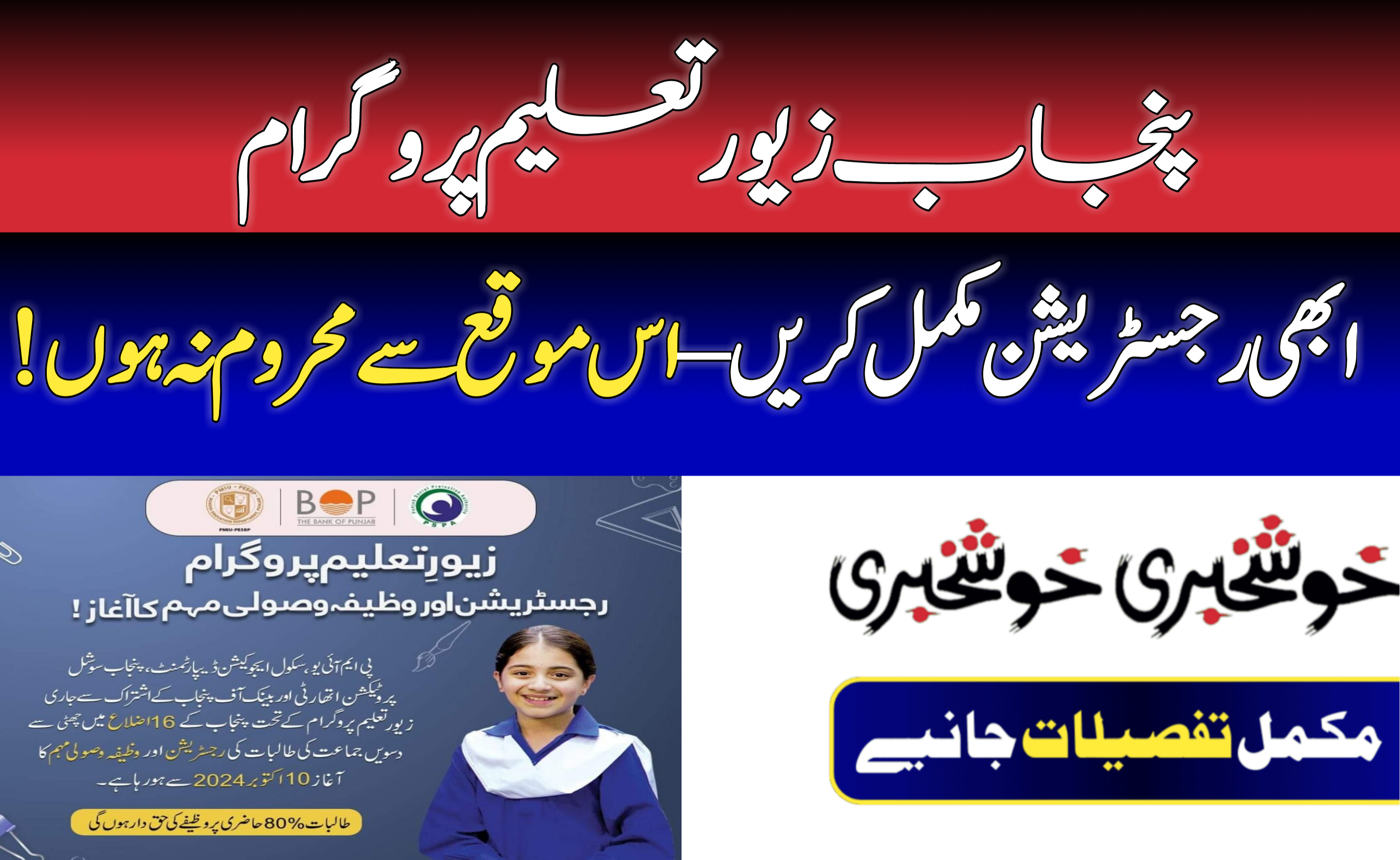 Punjab Zewar-e-Taleem Programme