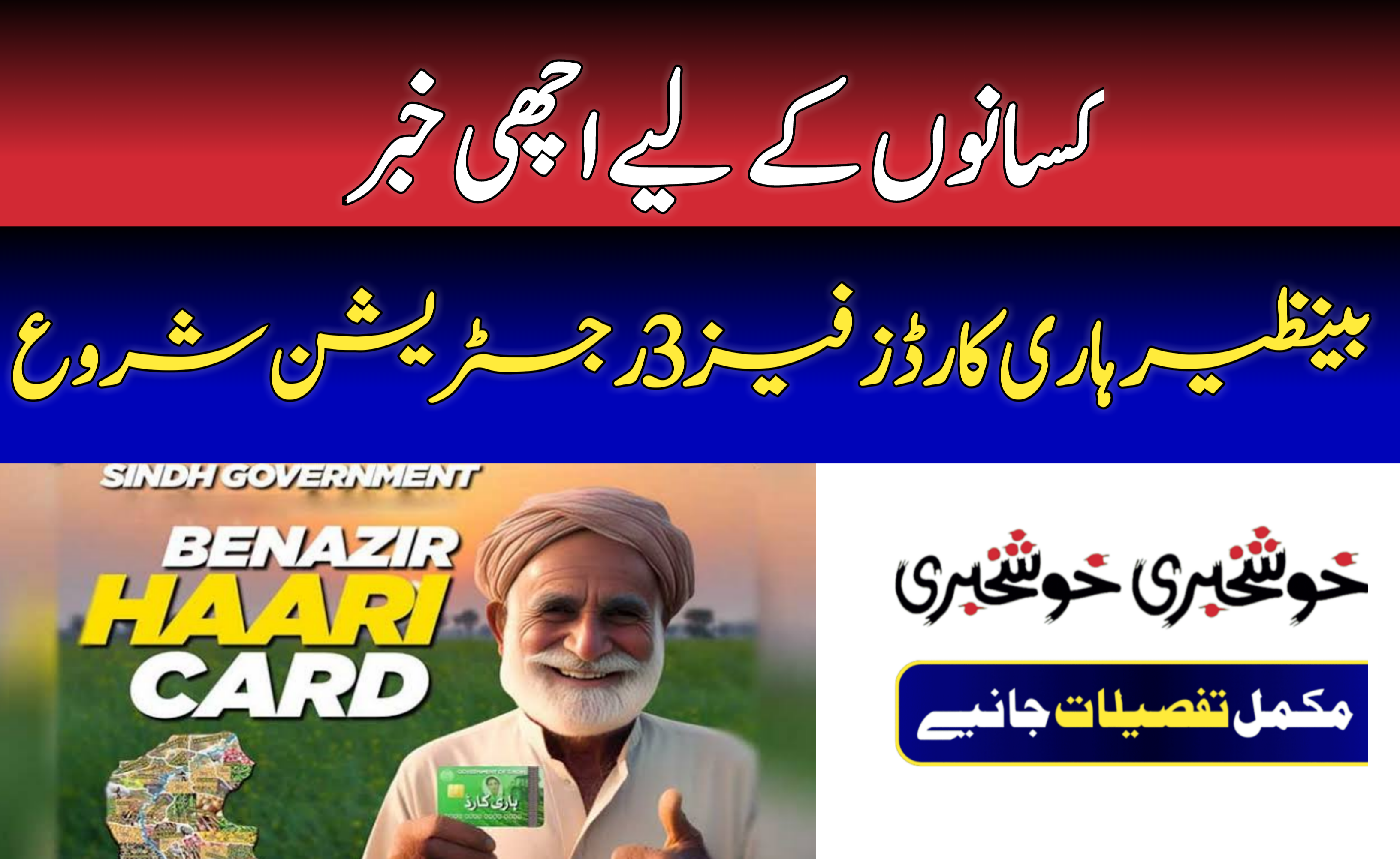 Benazir Hari Cards Phase 3