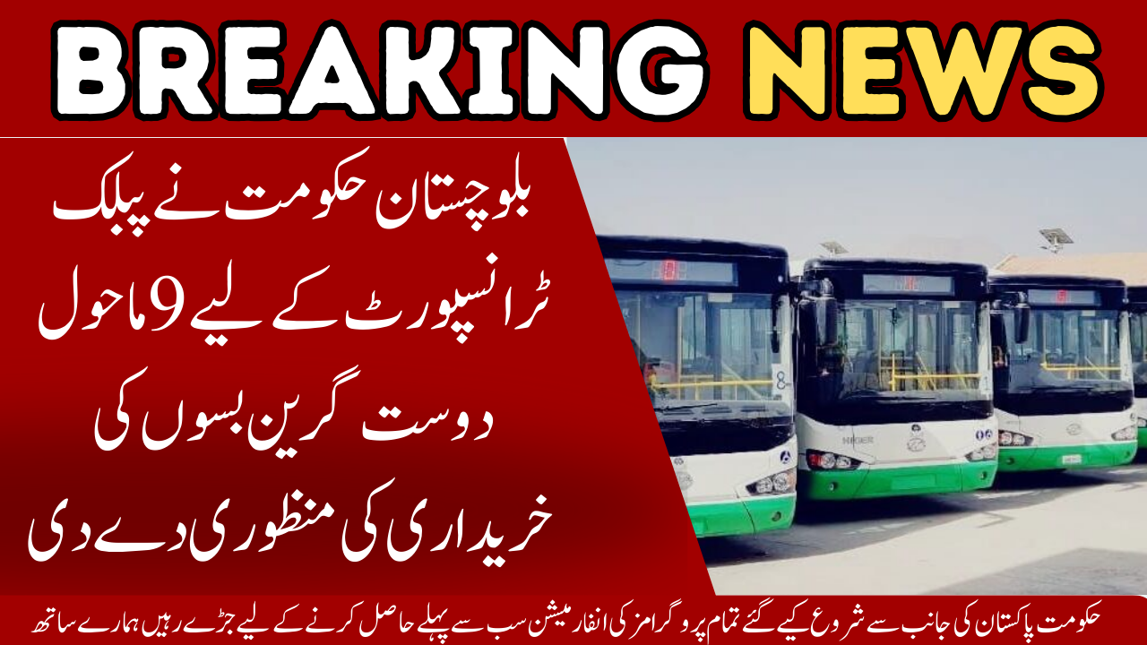 Eco-Friendly Green Buses for Public Transport