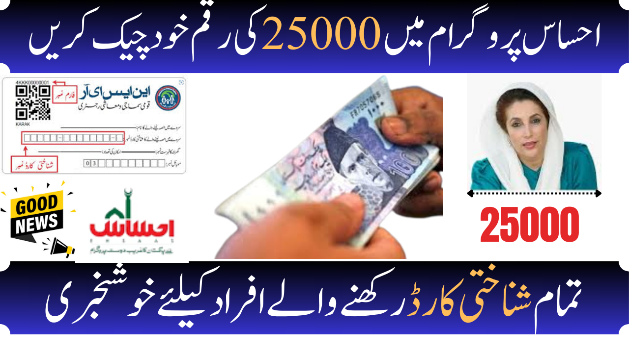 8171 Ehsaas Program 25000 Online Registration New Method 2024