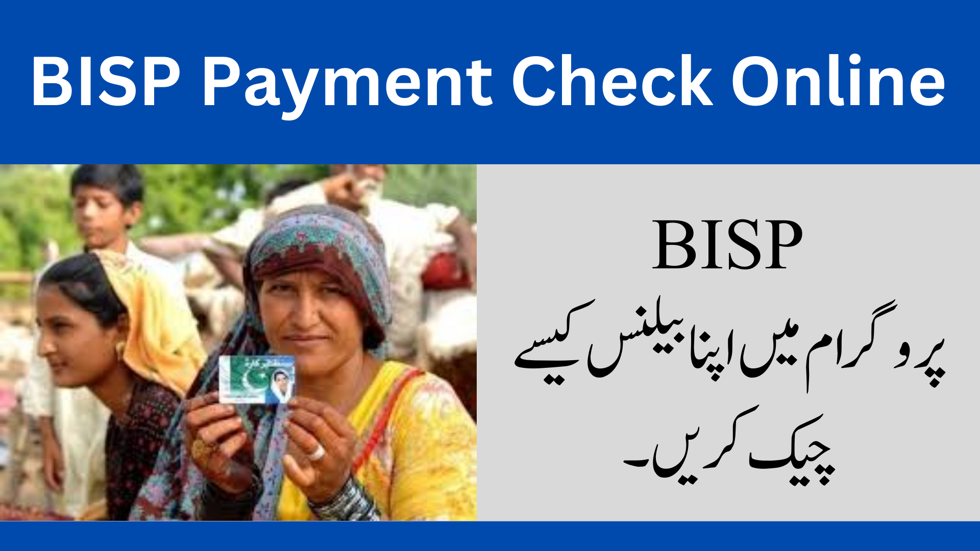 BISP online payments.