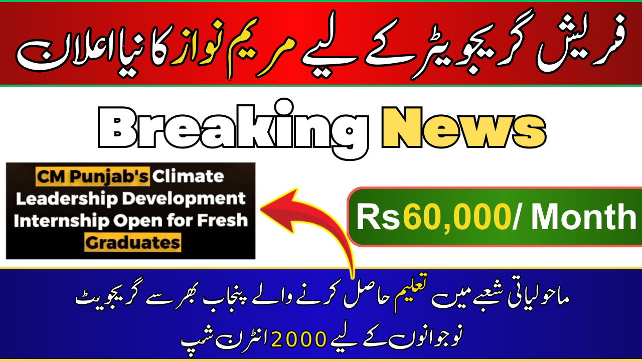 60000 Climate Internship Program